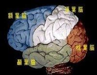 觀賞囂官 觀賞囂官