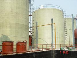 勝利發電廠 勝利發電廠