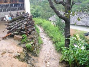 大河口自然村 大河口自然村