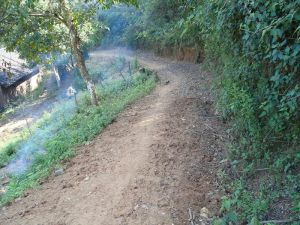 文票自然村 文票自然村