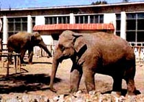 長春動植物公園