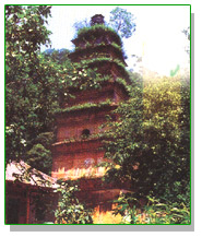 長安區[西安市]