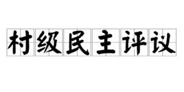 村級民主評議 村級民主評議