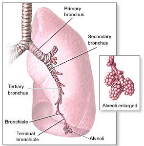肺氣腫