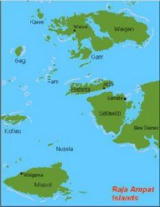 薩拉瓦蒂島 薩拉瓦蒂島