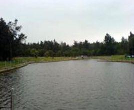平潭海島國家森林公園