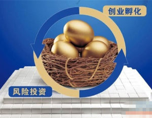 創業孵化器 創業孵化器