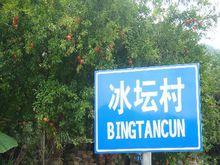 冰壇村