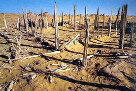 精絕古城[精絕國都城]