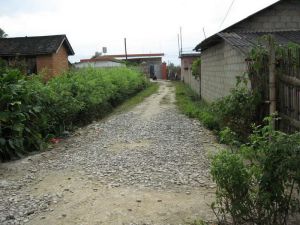 鳳凰新寨一村 鳳凰新寨一村