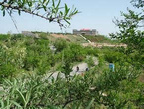 永壽縣槐樹林風情度假山莊 永壽縣槐樹林風情度假山莊