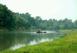 六羨歌[唐代詩人陸羽的作品]