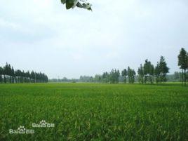 石佛店鎮 石佛店鎮