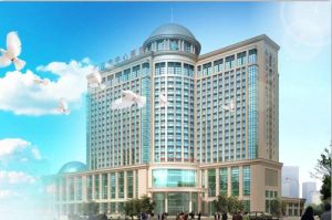 武漢市中心醫院 武漢市中心醫院