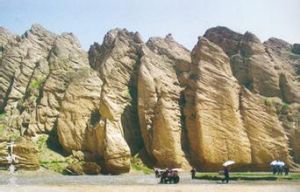 天下第一大神龜 天下第一大神龜