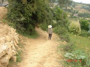 龍竹樹村 龍竹樹村