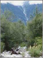 娘蒲溝景區 娘蒲溝景區