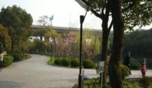 華夏文化公園