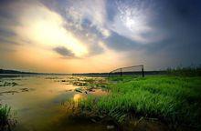 碭山[安徽省碭山縣]