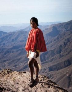 塔拉烏馬拉人 塔拉烏馬拉人