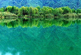 龍池坪森林公園 龍池坪森林公園