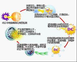 介入理論 介入理論