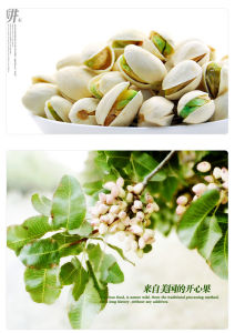 新農哥開心果 新農哥開心果