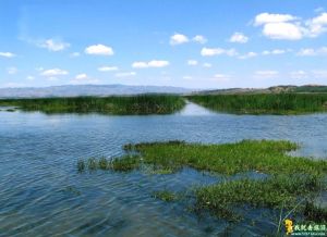 威寧草海保護區 威寧草海保護區