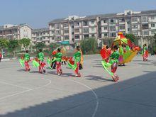 四川省自貢市榮縣雙石鎮金台村圖片