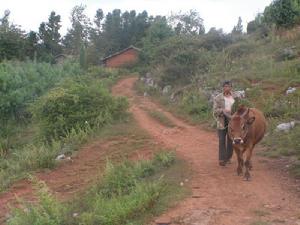 八道拐自然村[大水井行政村下轄自然村]