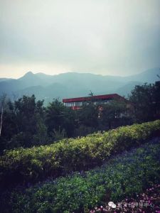 北京海淀紫雲台禪修中心