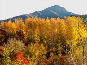 大海坨國家級自然保護區