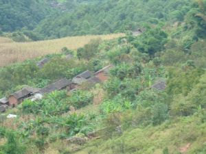 壓木河村 壓木河村