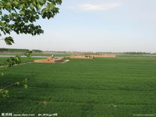 美麗的松嫩平原