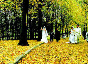 青島愛情角 青島愛情角