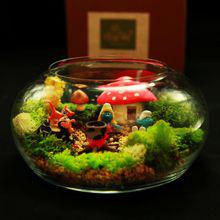 苔蘚[最低等的高等植物]