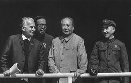 中國共產黨第七屆中央政治局 中國共產黨第七屆中央政治局