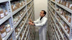 斯瓦爾巴全球種子庫