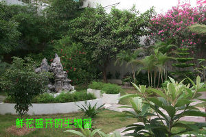 珠海市香洲區第七小學生物園