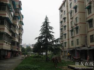 銀晟花園 銀晟花園