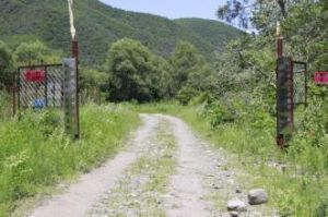 代王疃村 代王疃村