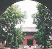 南徐村則天廟 南徐村則天廟