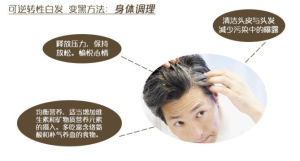 白髮變黑髮 白髮變黑髮