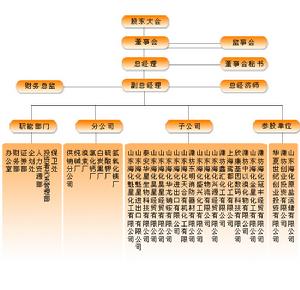 山東海化股份有限公司