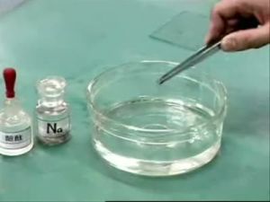 鹼金屬與水反應