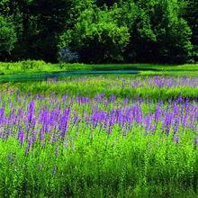 遊走滇川藏·動人四川