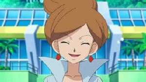 紅豆杉博士 紅豆杉博士