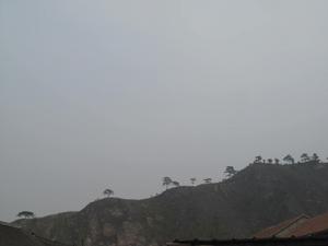 沿著山頂的特色松樹,多么漂亮