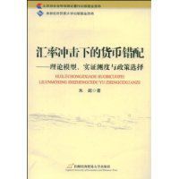 匯率衝擊下的貨幣錯配 匯率衝擊下的貨幣錯配