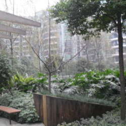 北城清邁陽光 北城清邁陽光